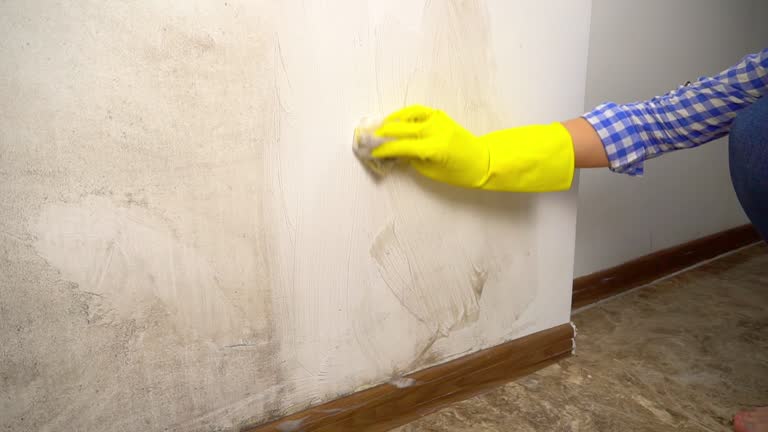 Best Biohazard Mold Removal  in Avenal, CA