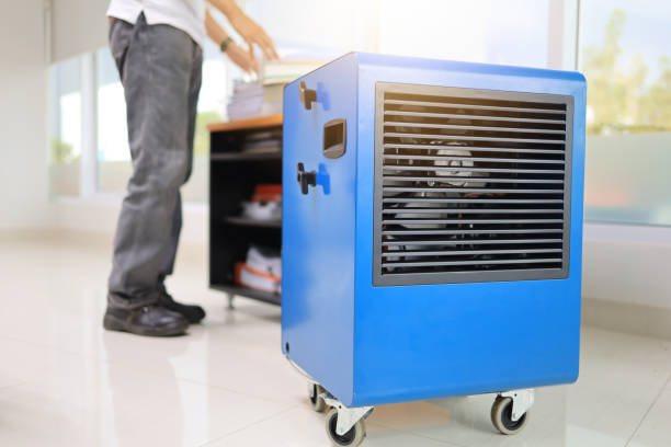 Best Dehumidification Services  in Avenal, CA